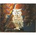 Bouwpakket | Uil